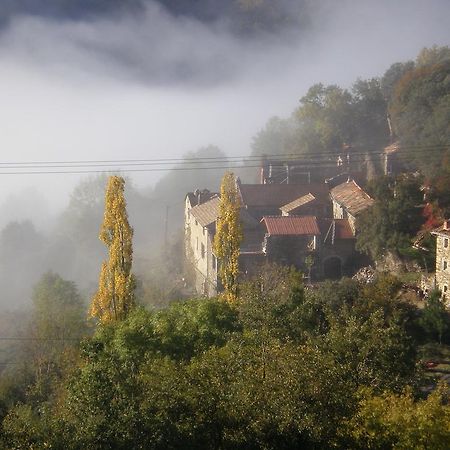 Mas La Donzelenche Ξενοδοχείο Vialas Δωμάτιο φωτογραφία